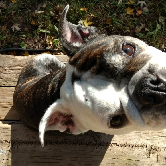 Meet your Posher, Seng - Picture 6 of 7